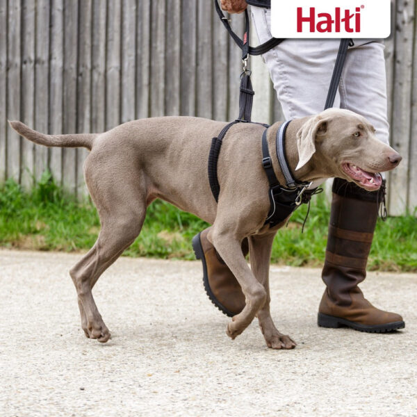 HALTI No Pull Harness