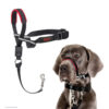 HALTI No Pull Harness