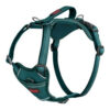 HALTI No Pull Harness