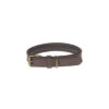 Woof Leather Dog Collar