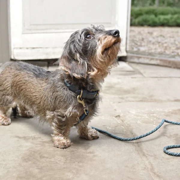 Teal Rope Collar